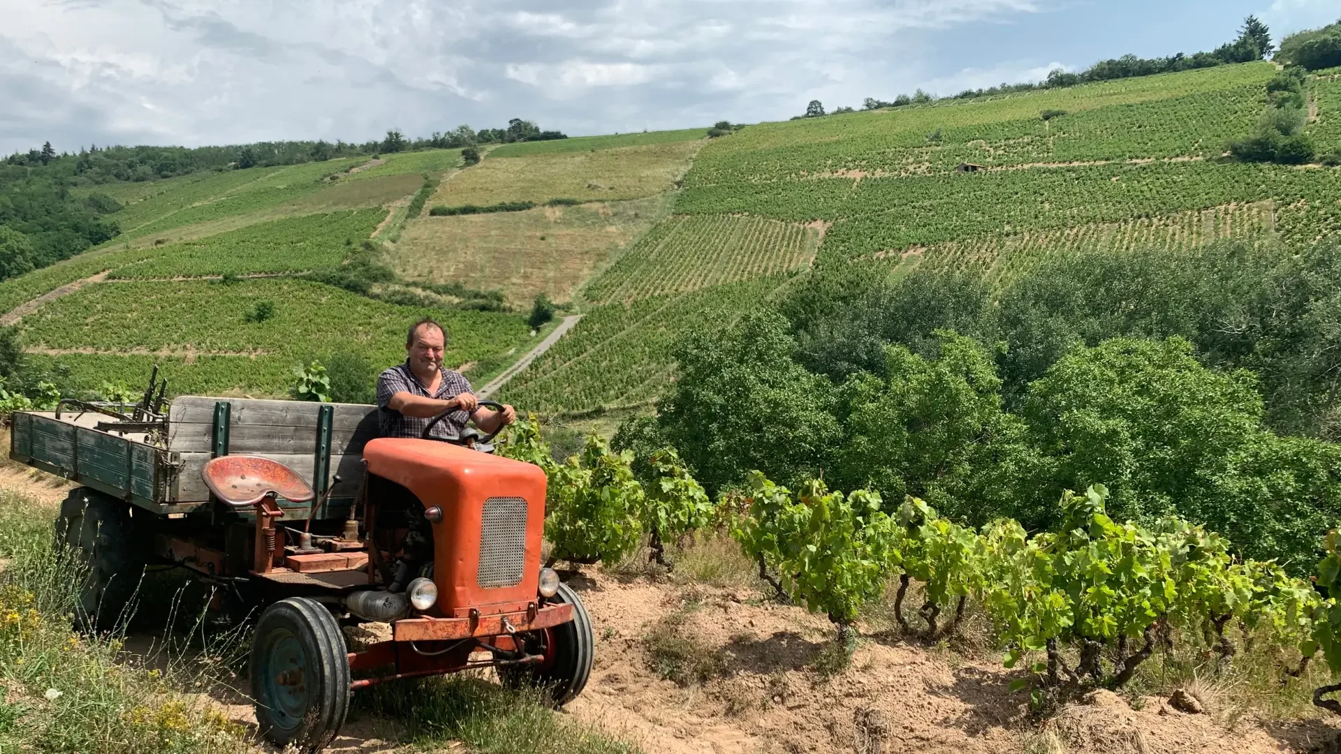 Domaine Gilles Paris 1 webp 2