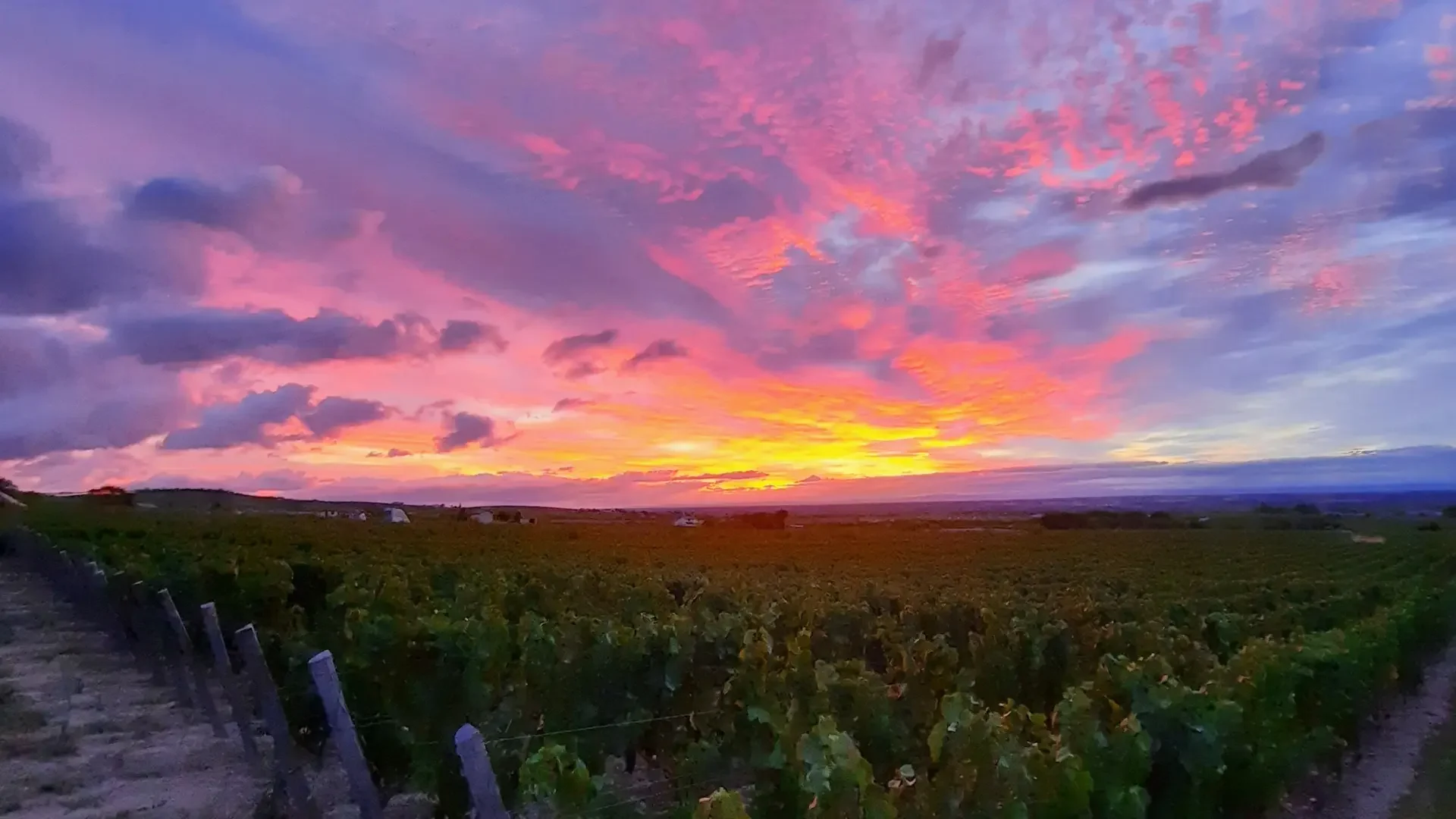 Domaine Gilles Paris 1 webp 3