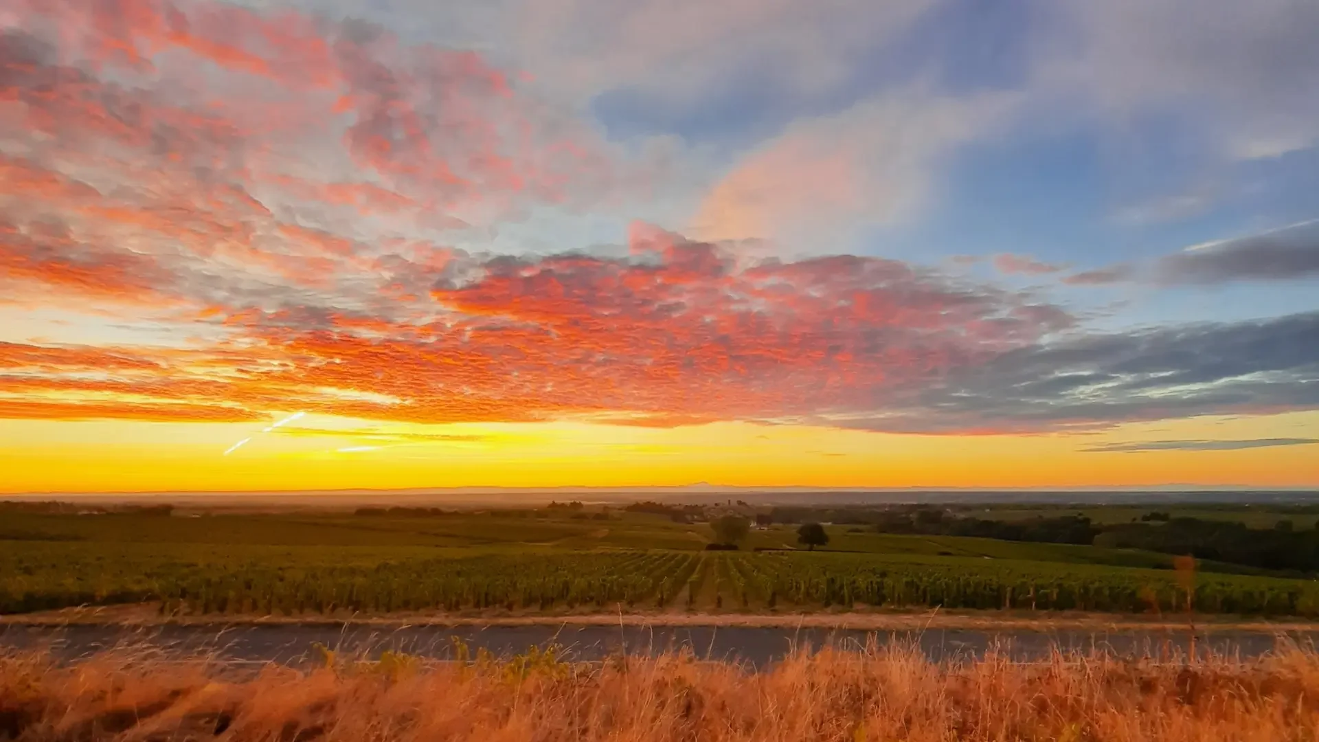Domaine Gilles Paris 1 webp 4